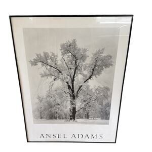 Ansel Adams “Oak Tree, Snowstorm” Yosemite National Park 1984 – Large Print